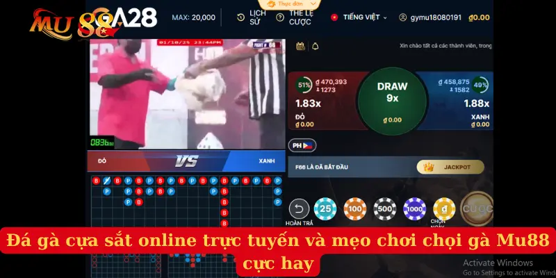Đá Gà Cựa Sắt Online Trực Tuyến Và Mẹo Chơi Chọi Gà Mu88 Cực Hay
