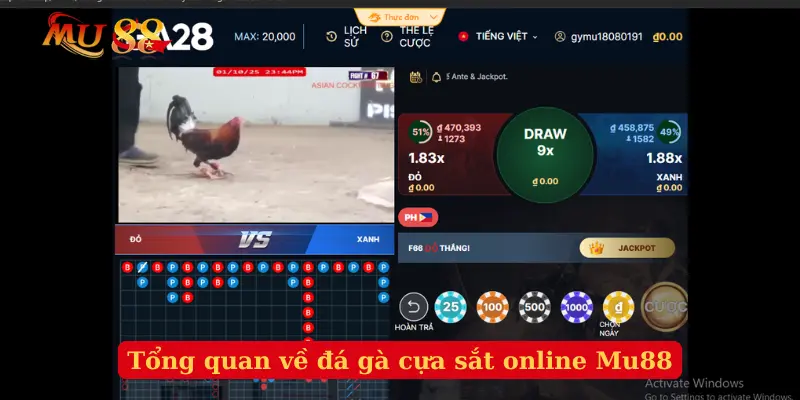 Tổng quan về đá gà cựa sắt online Mu88