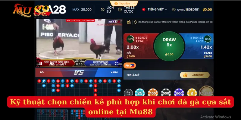 Kỹ thuật chọn chiến kê phù hợp khi chơi  đá gà cựa sắt online tại Mu88