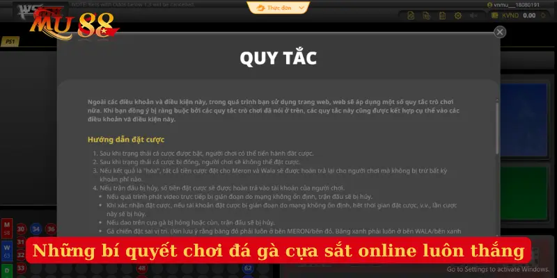 Những bí quyết chơi đá gà cựa sắt online luôn thắng