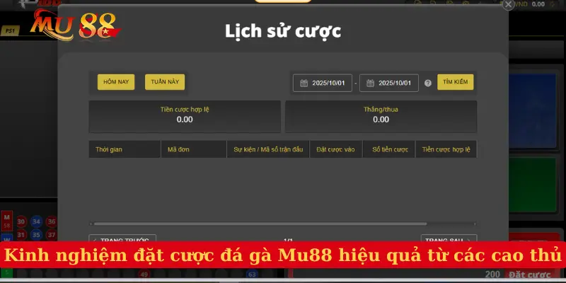 Kinh nghiệm đặt cược đá gà Mu88 hiệu quả từ các cao thủ