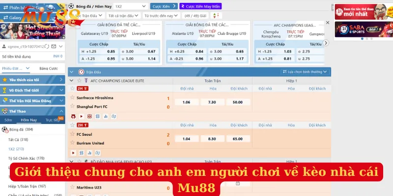 Giới thiệu chung cho anh em người chơi về kèo nhà cái Mu88