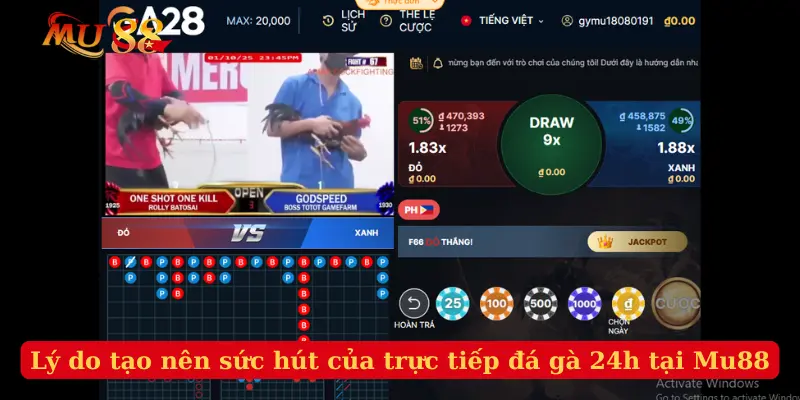 Lý do tạo nên sức hút của trực tiếp đá gà 24h tại Mu88